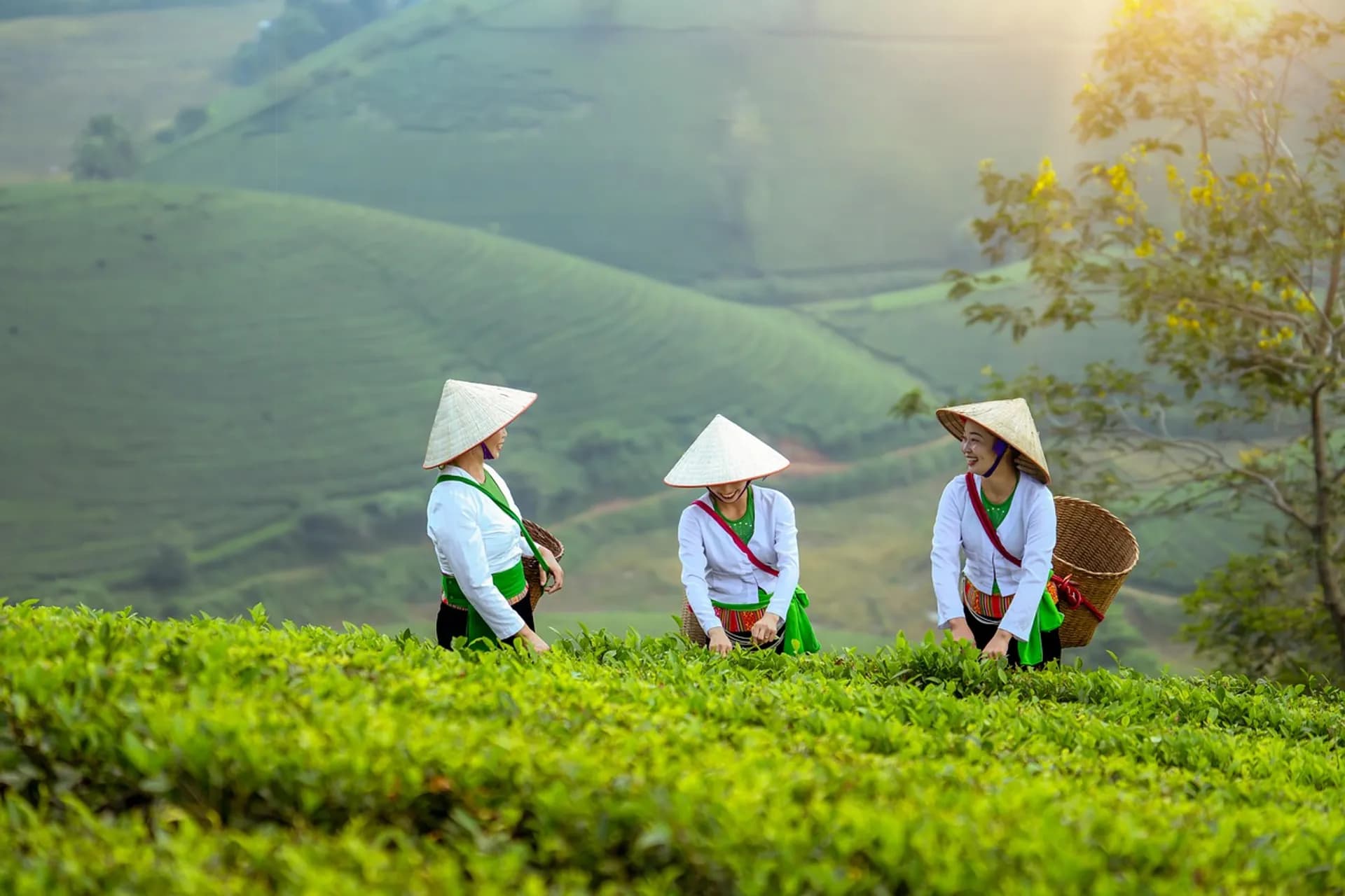 How to Get a Vietnam e-Visa: Step by step Guide