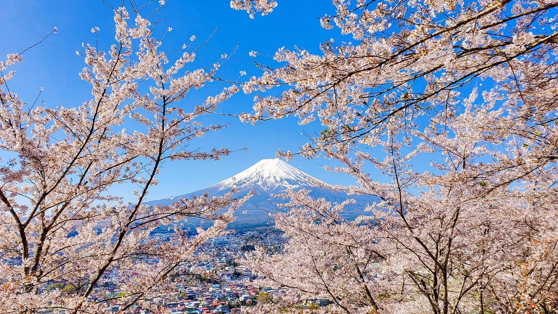 Japan Tourist Visa Guide from Australia – Requirements & Must-Visit Places