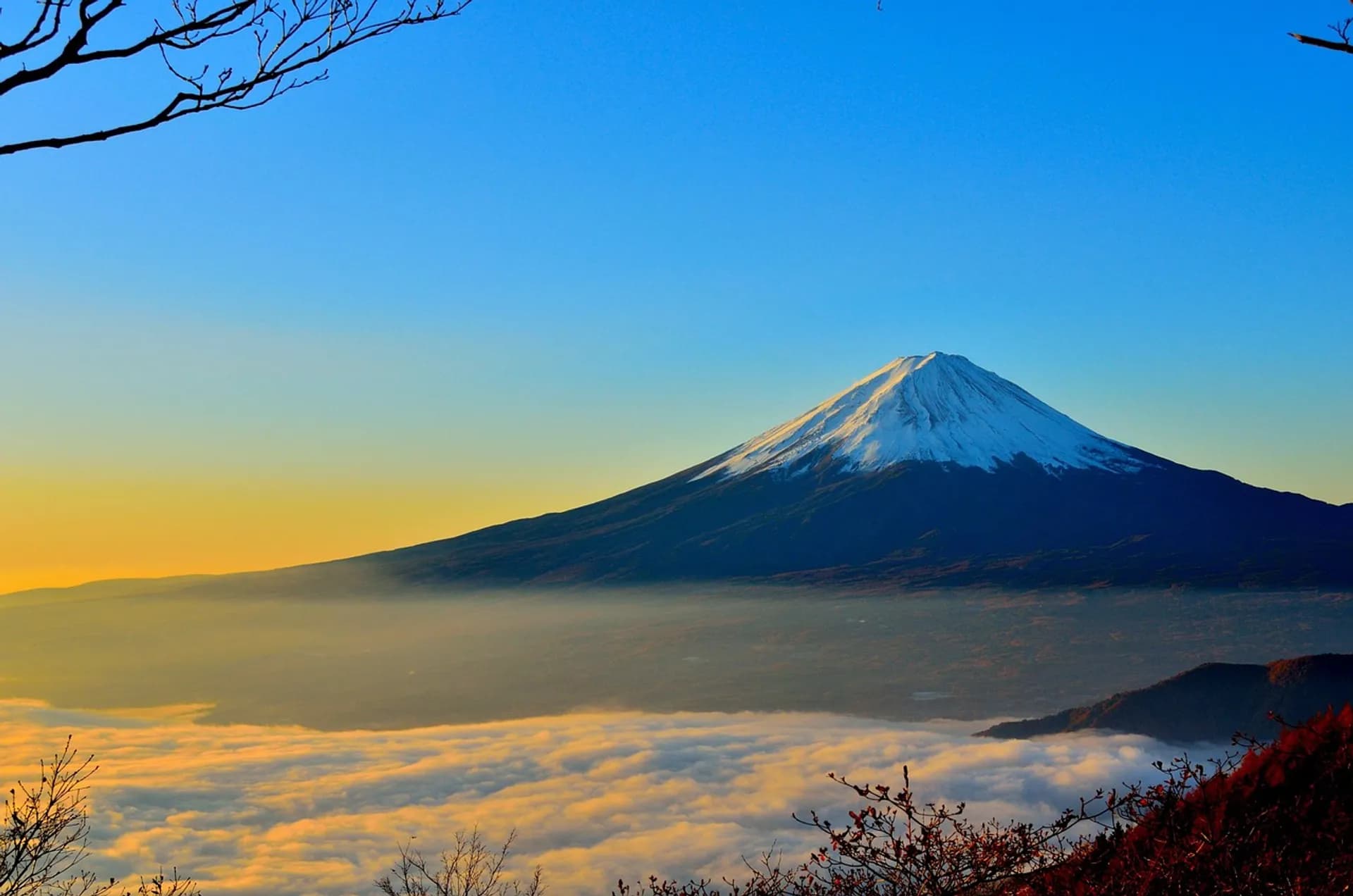 Japan eVisa Requirements from Australia 2026 | 99.9% Success Rate - MyVisitVisa