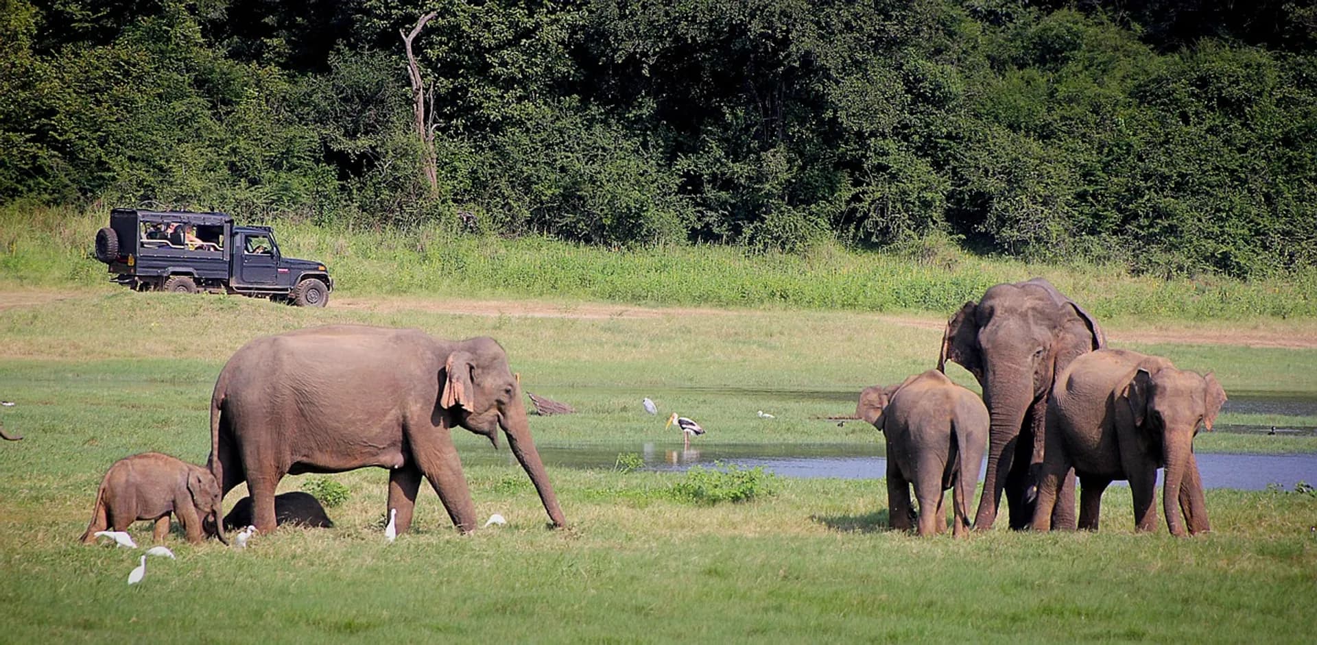 Sri Lanka ETA Requirements: Your 2025 Guide to Stress-Free Travel